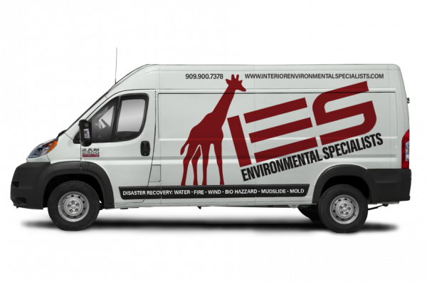 IES-Van-Graphic-NO-BG